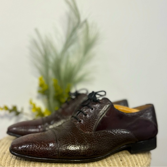 Mezlan Collection (Cardosa) - Picture 5 of 5